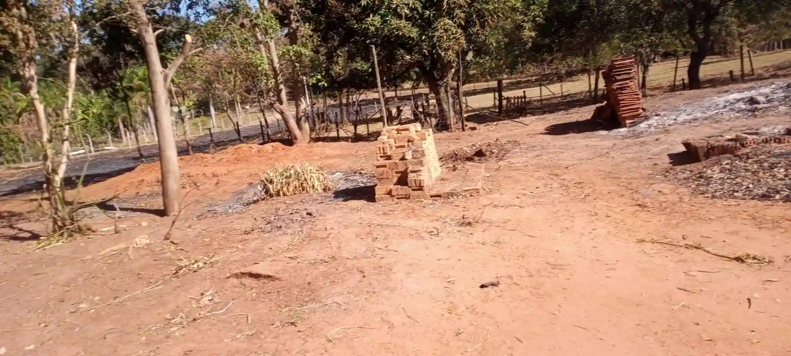 Fazenda / Sítio / Chácara com 2 quartos à venda, 8000m² — foto 8 de 9