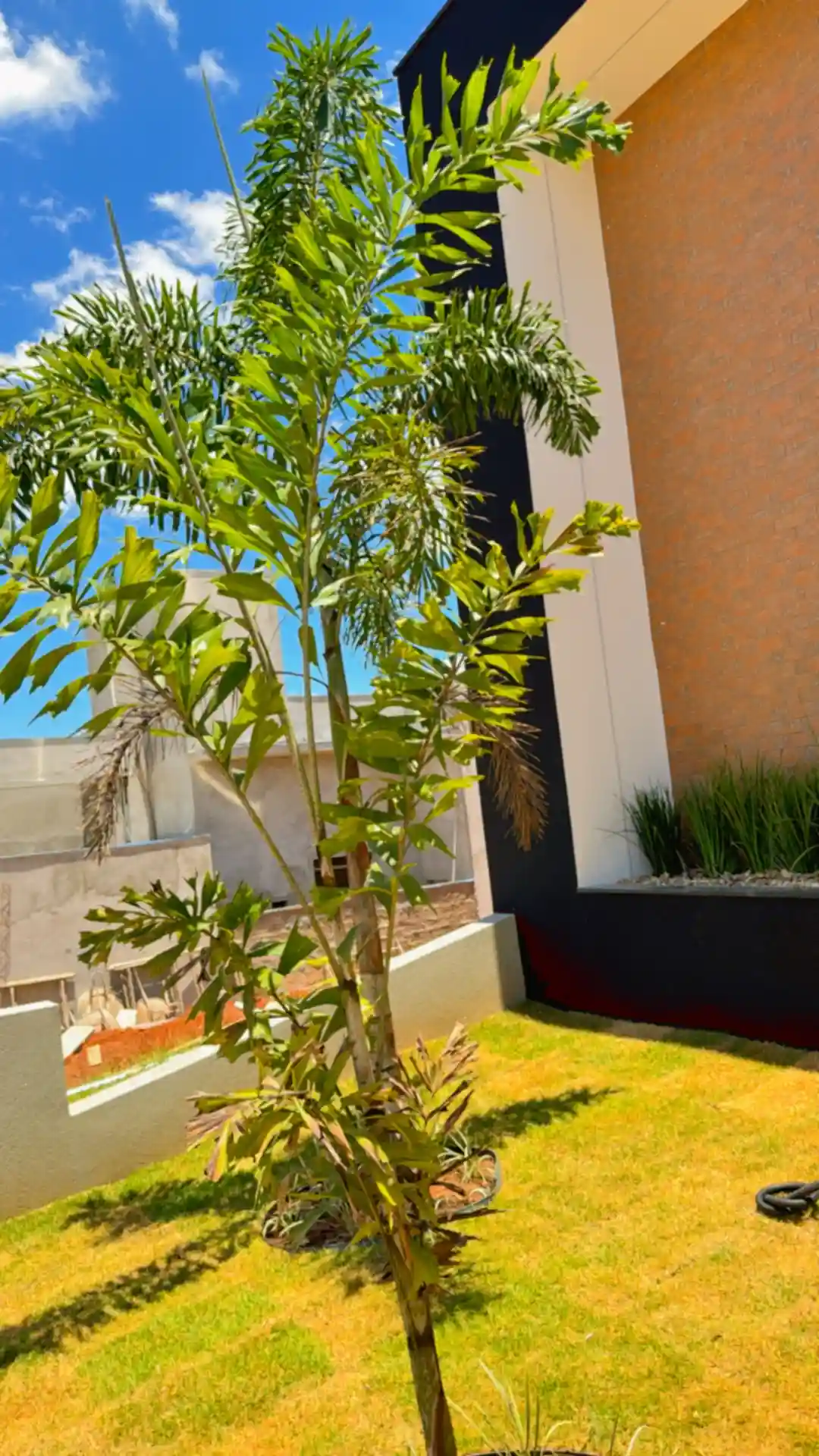 Casa de Condomínio  à venda, 275m² — foto 2 de 28