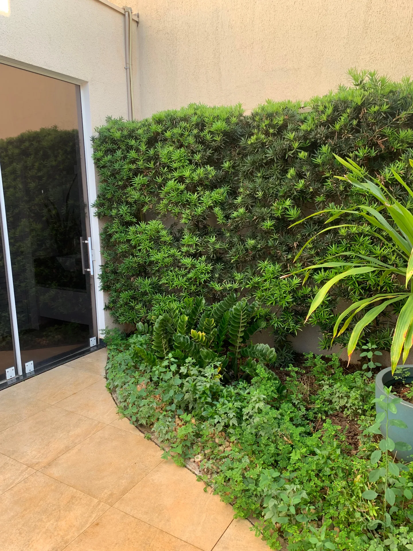 Casa de Condomínio com 3 quartos à venda, 245m² — foto 30 de 30