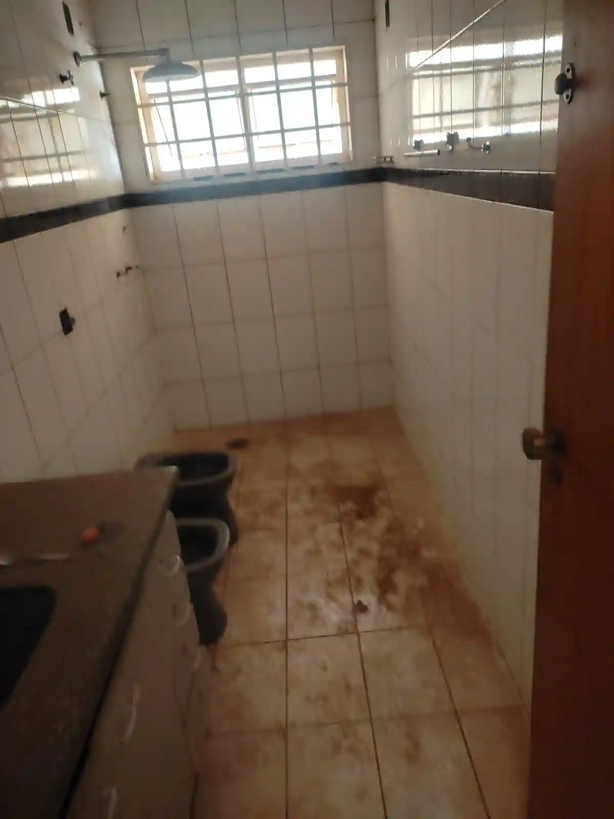 Casa com 5 quartos à venda, 800m² — foto 34 de 37