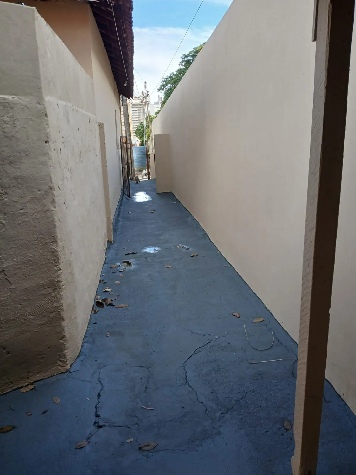 Casa com 3 quartos à venda, 242m² — foto 10 de 25