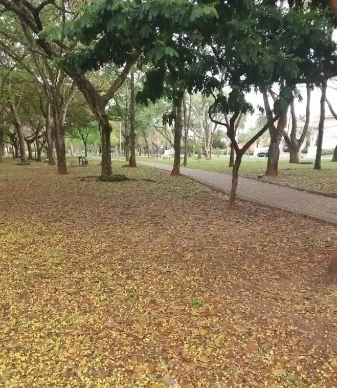 Terreno / Lote / Condomínio  à venda, 1120m² — foto 3 de 5