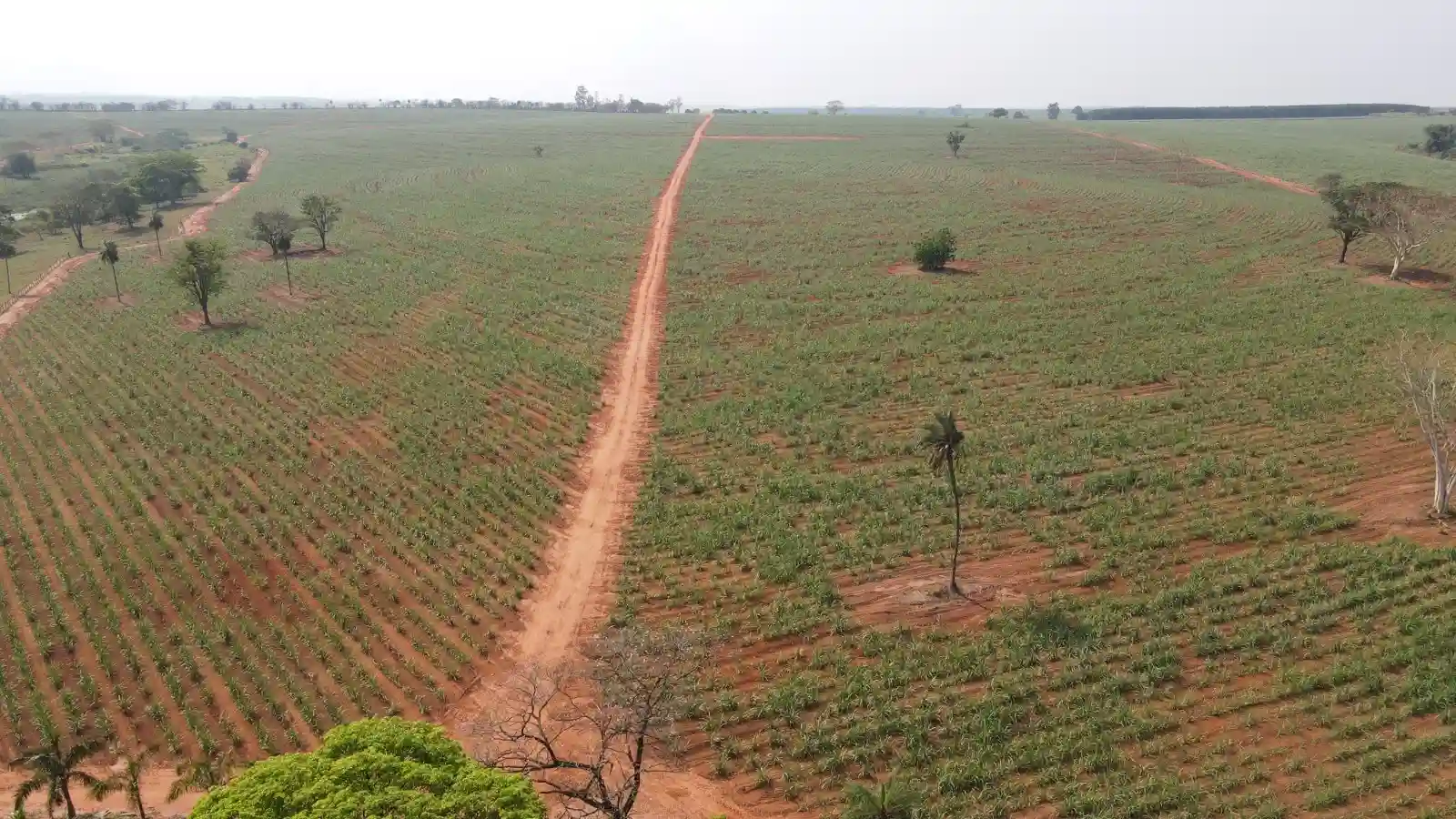Fazenda / Sítio / Chácara  à venda, 1368000m² — foto 6 de 8