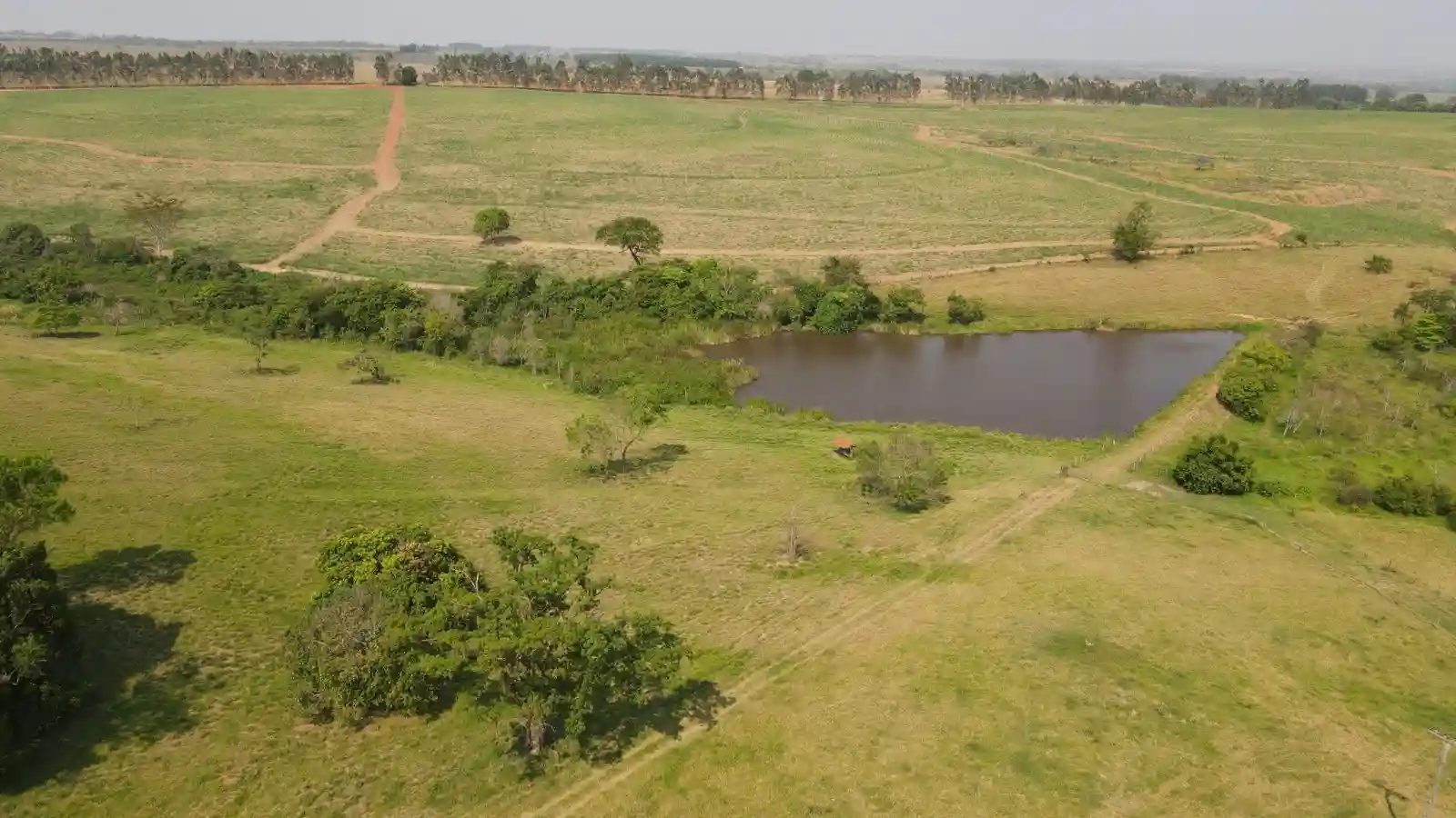 Fazenda / Sítio / Chácara  à venda, 1368000m² — foto 3 de 8