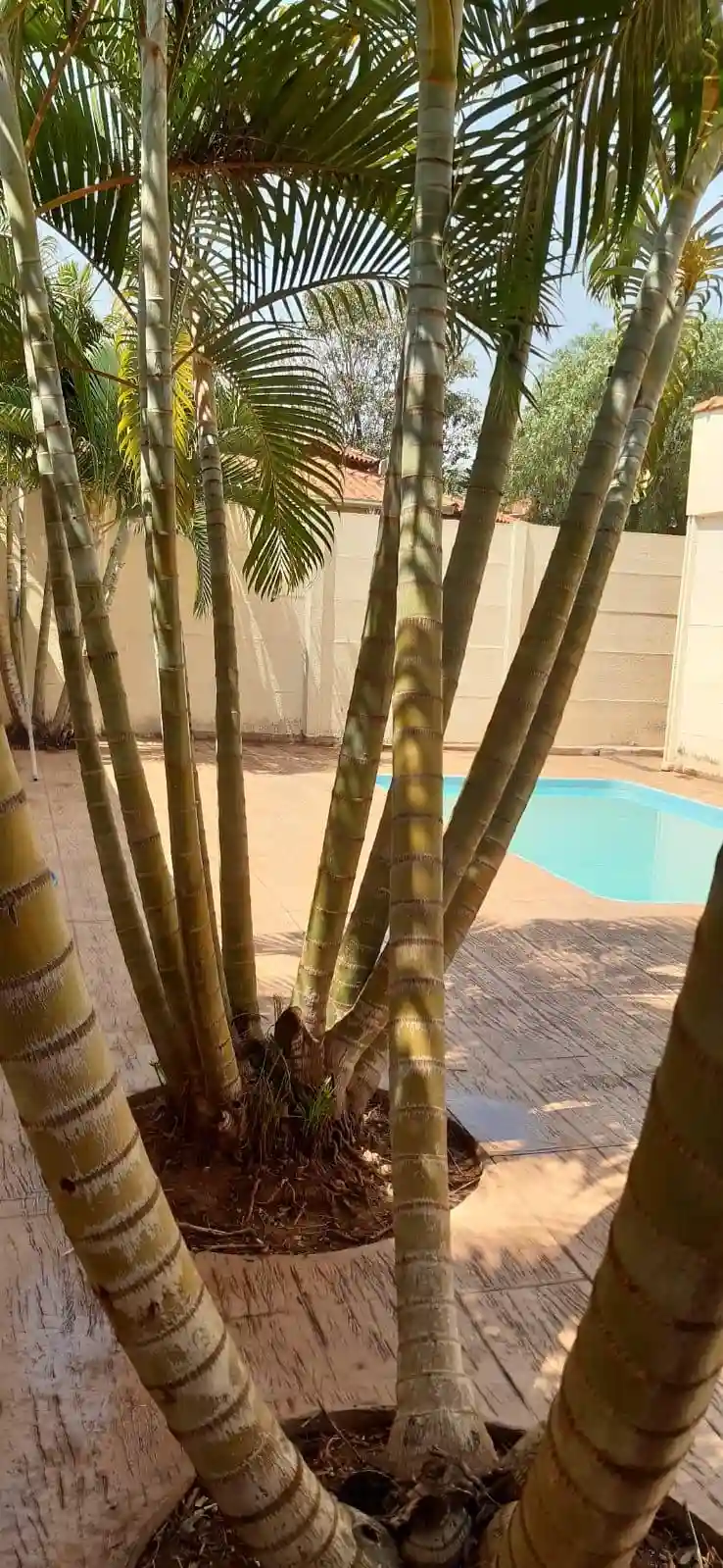 Fazenda / Sítio / Chácara com 3 quartos à venda, 1080m² — foto 34 de 36