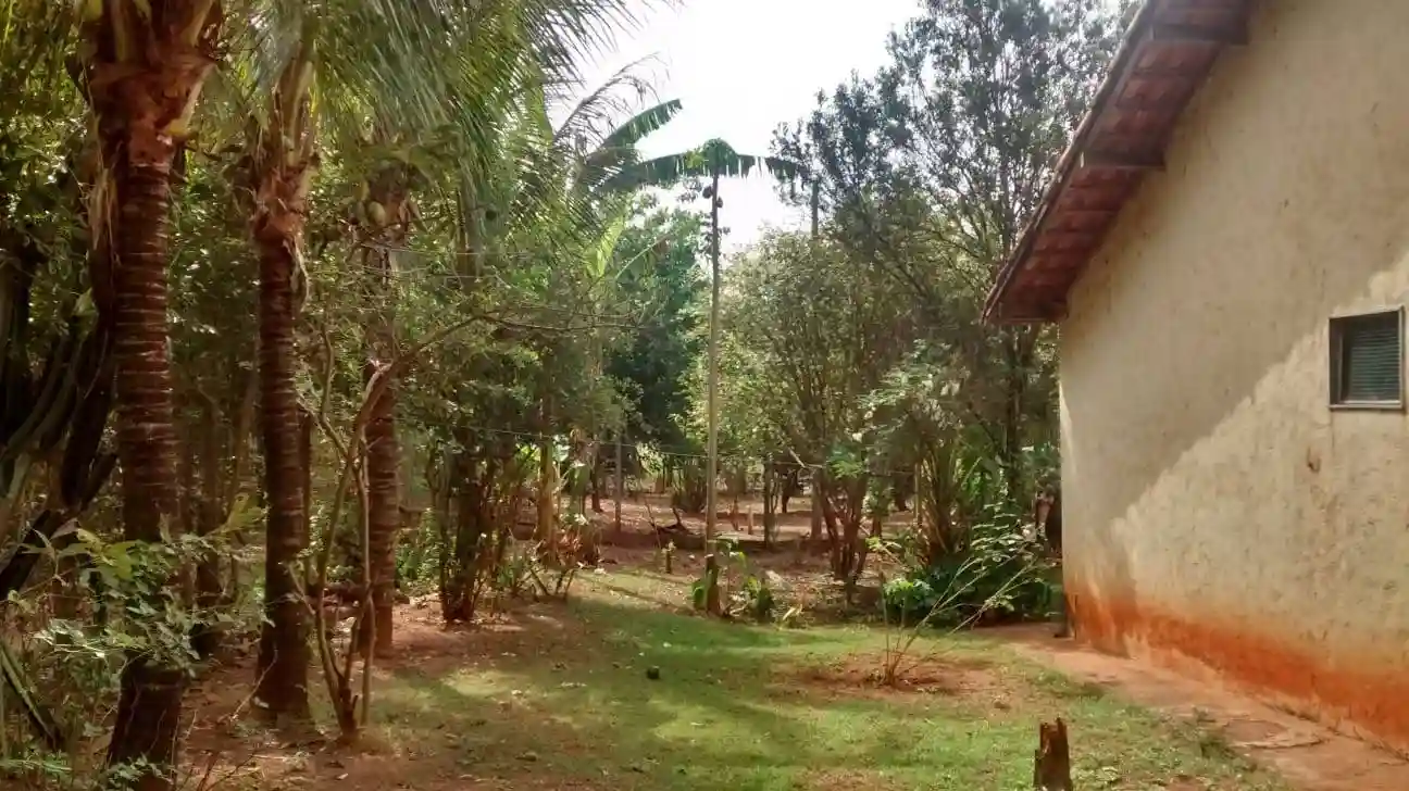 Fazenda / Sítio / Chácara com 5 quartos à venda, 363000m² — foto 4 de 11