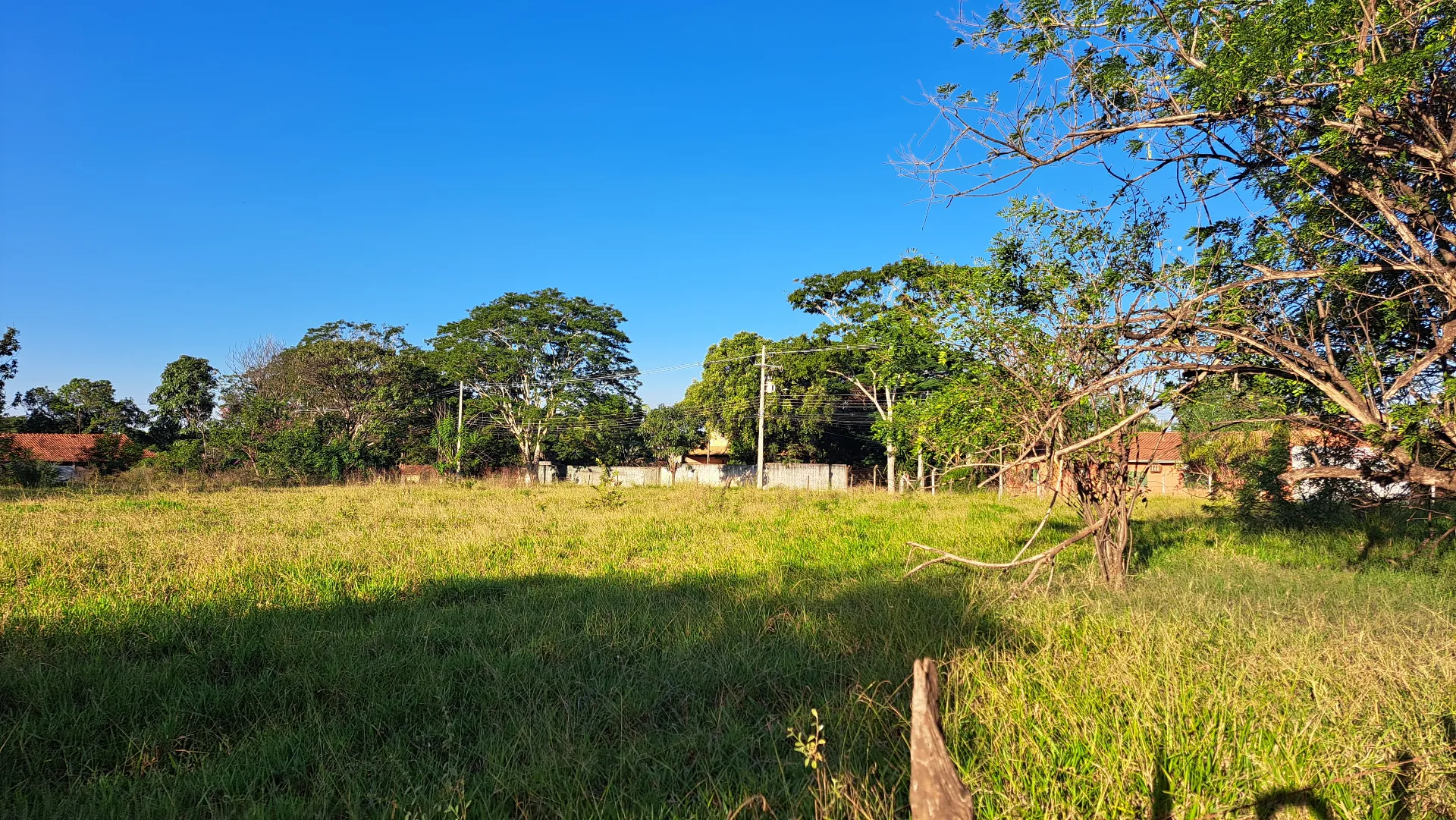 Fazenda / Sítio / Chácara à venda, 8200m² — foto 6 de 11