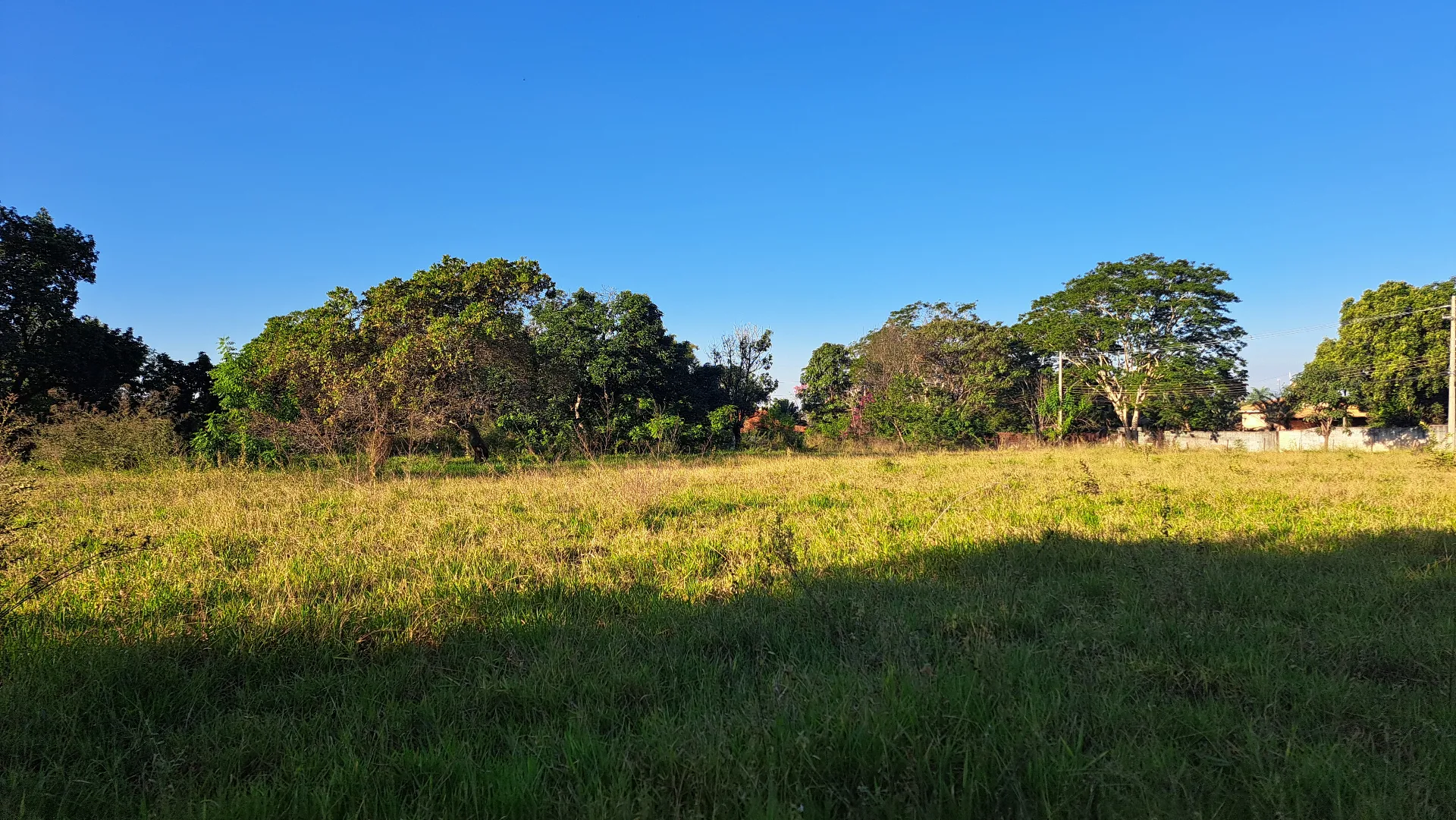 Fazenda / Sítio / Chácara à venda, 8200m² — foto 3 de 11