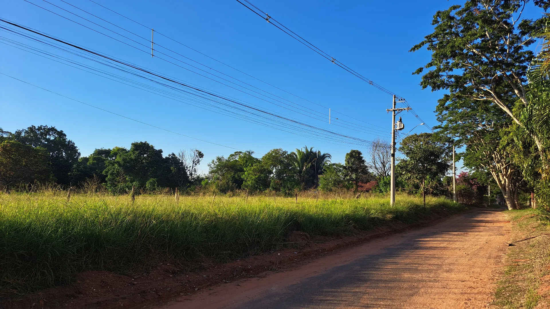 Fazenda / Sítio / Chácara à venda, 8200m² — foto 9 de 11