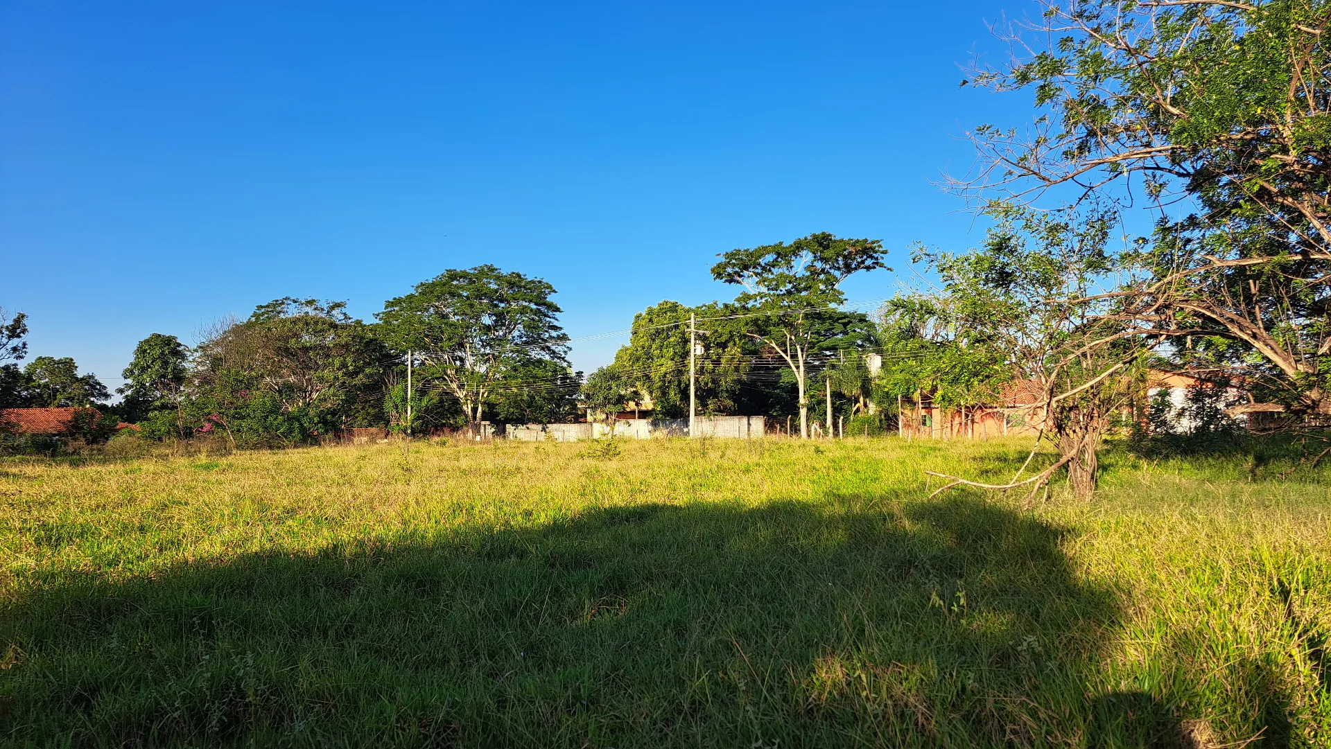 Fazenda / Sítio / Chácara à venda, 8200m² — foto 5 de 11