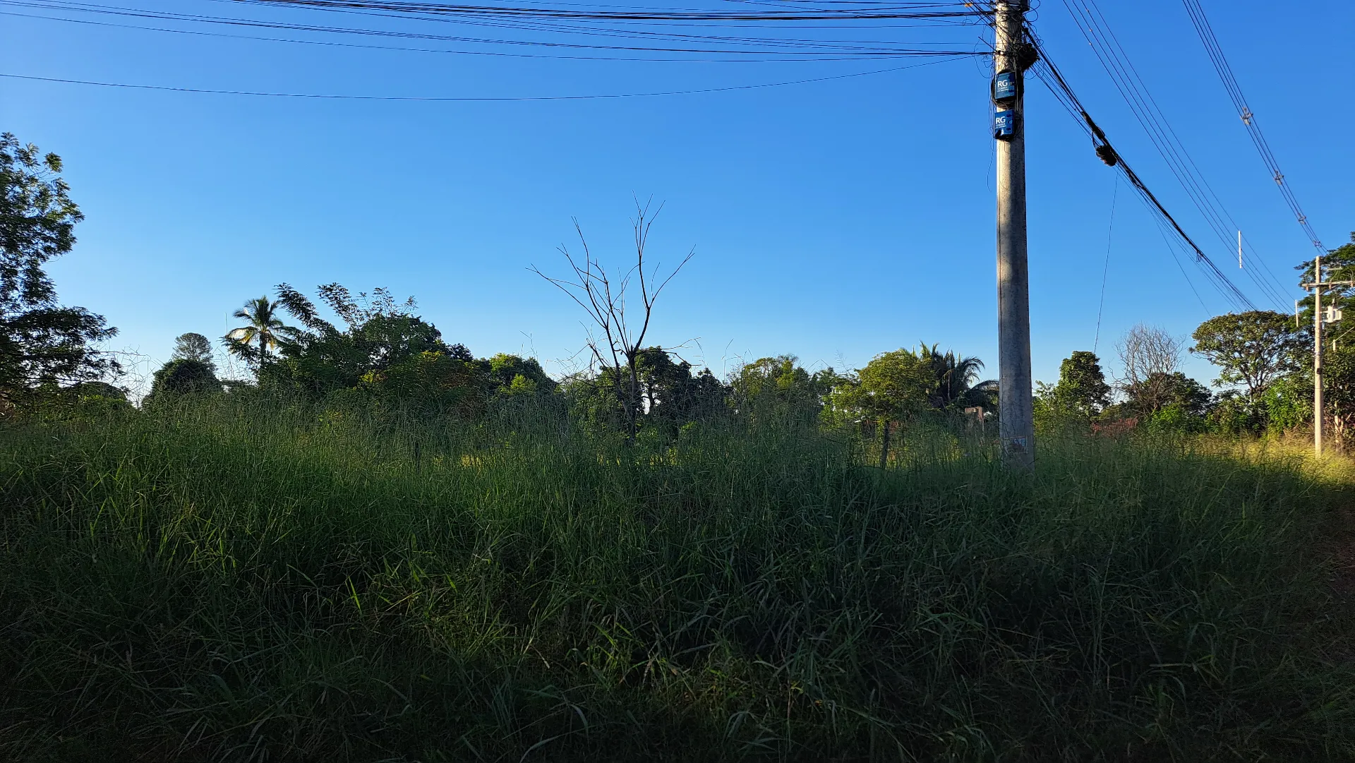 Fazenda / Sítio / Chácara à venda, 8200m² — foto 8 de 11