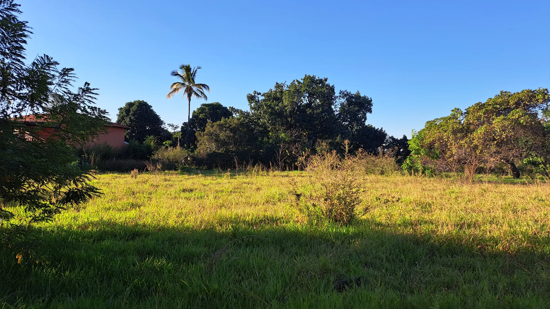 Fazenda / Sítio / Chácara à venda, 8200m² — foto 2 de 11