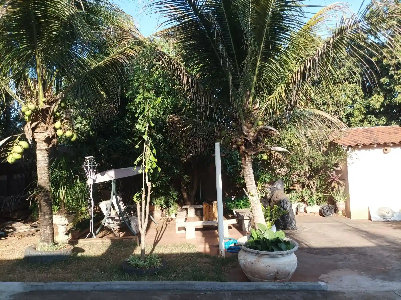 Fazenda / Sítio / Chácara com 2 quartos à venda, 500m² — foto 9 de 14