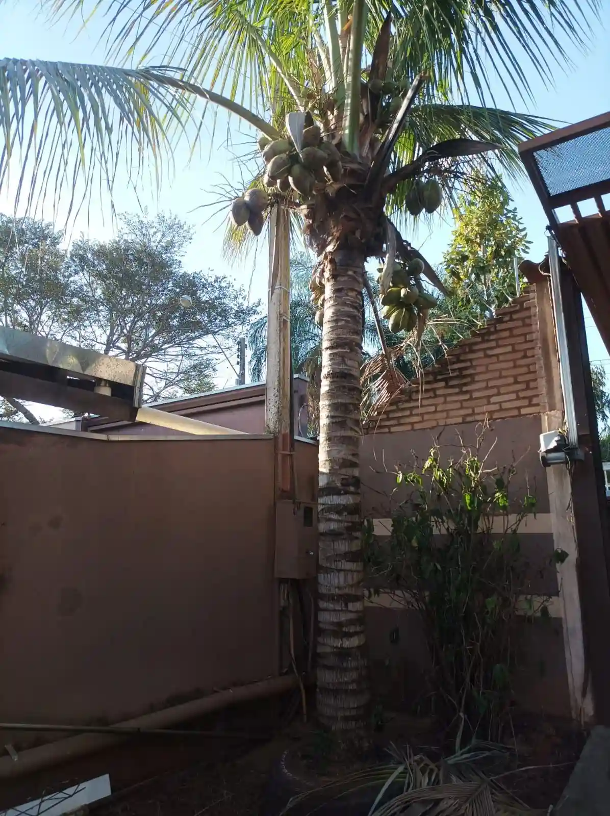 Fazenda / Sítio / Chácara com 2 quartos à venda, 500m² — foto 14 de 14