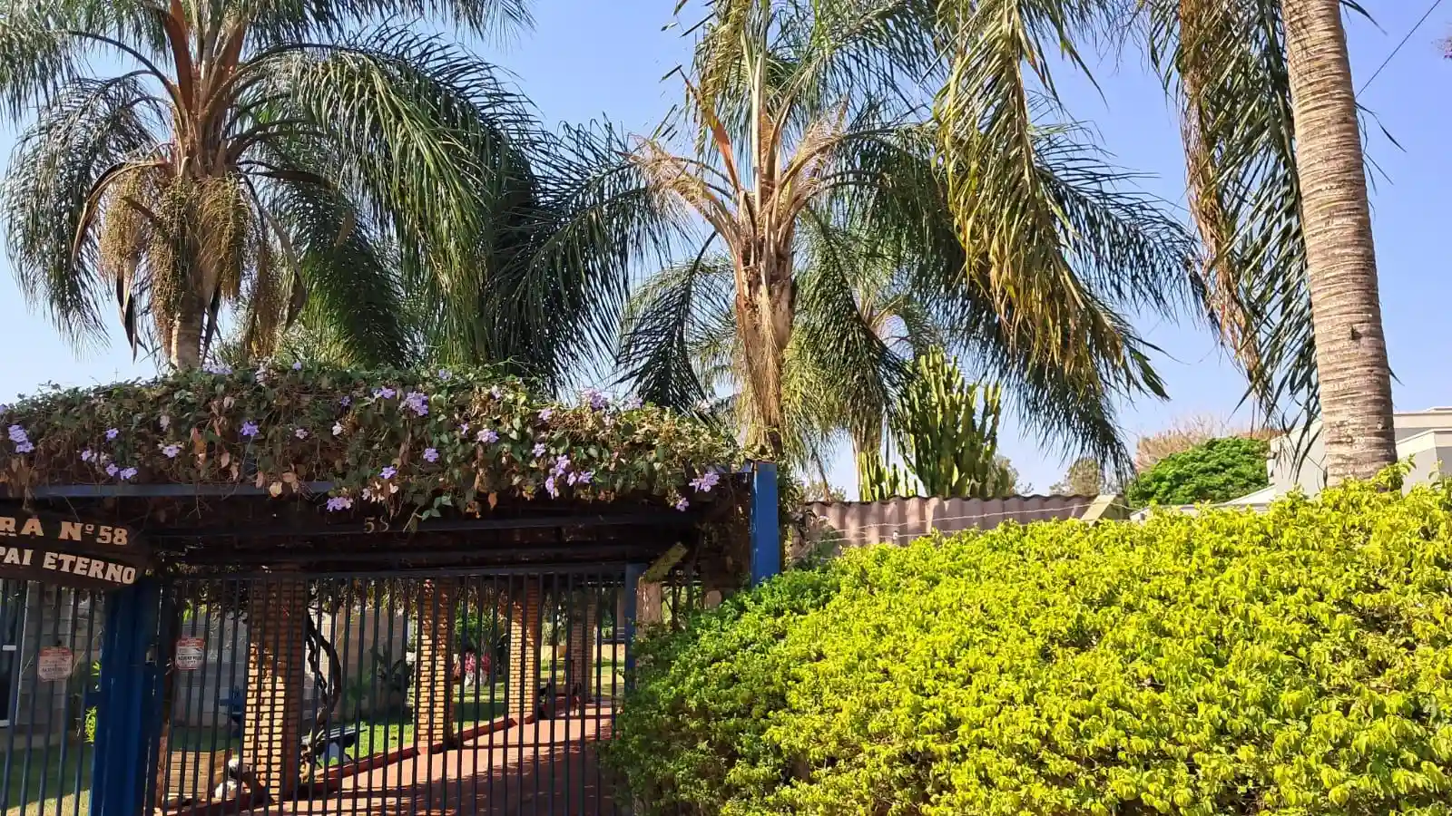 Fazenda / Sítio / Chácara com 2 quartos à venda, 1200m² — foto 2 de 47