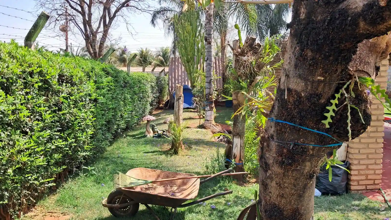 Fazenda / Sítio / Chácara com 2 quartos à venda, 1200m² — foto 5 de 47