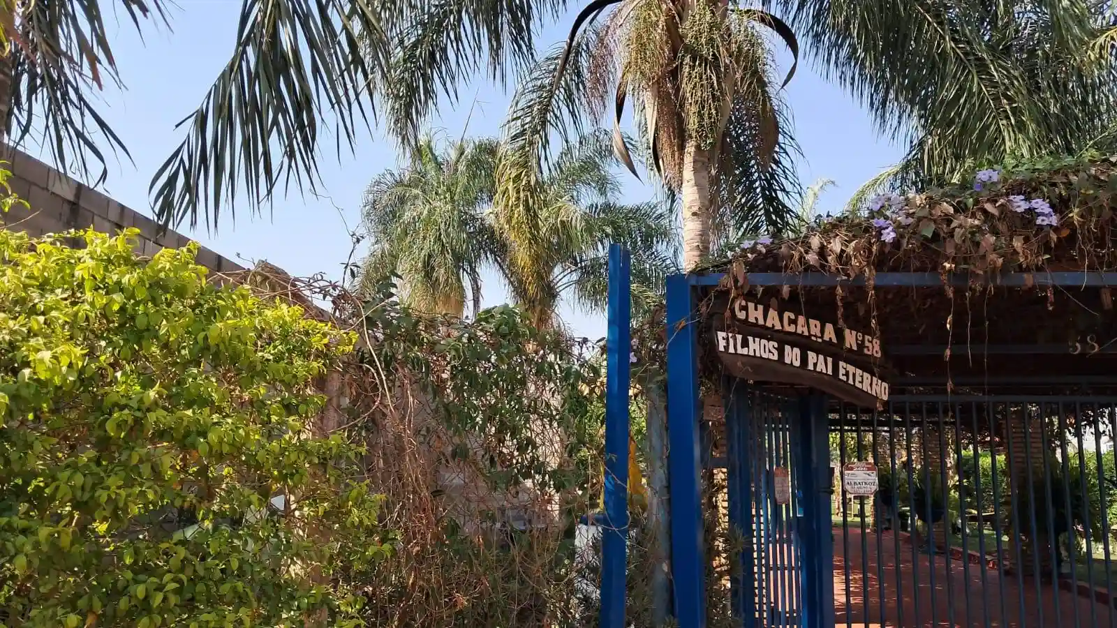 Fazenda / Sítio / Chácara com 2 quartos à venda, 1200m² — foto 8 de 47