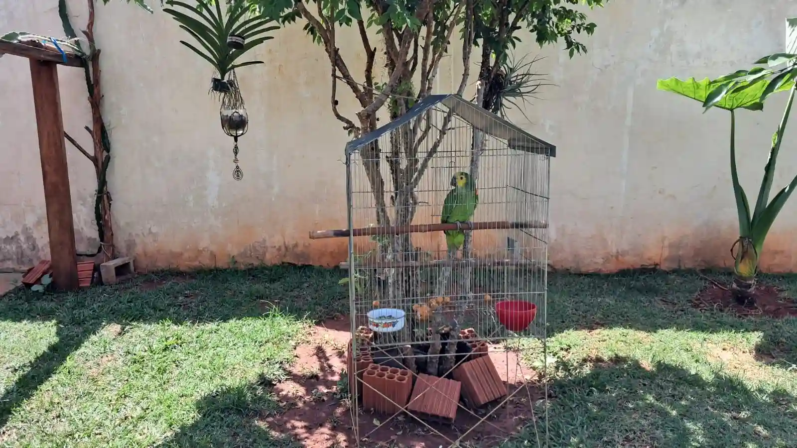 Fazenda / Sítio / Chácara com 2 quartos à venda, 1200m² — foto 11 de 47