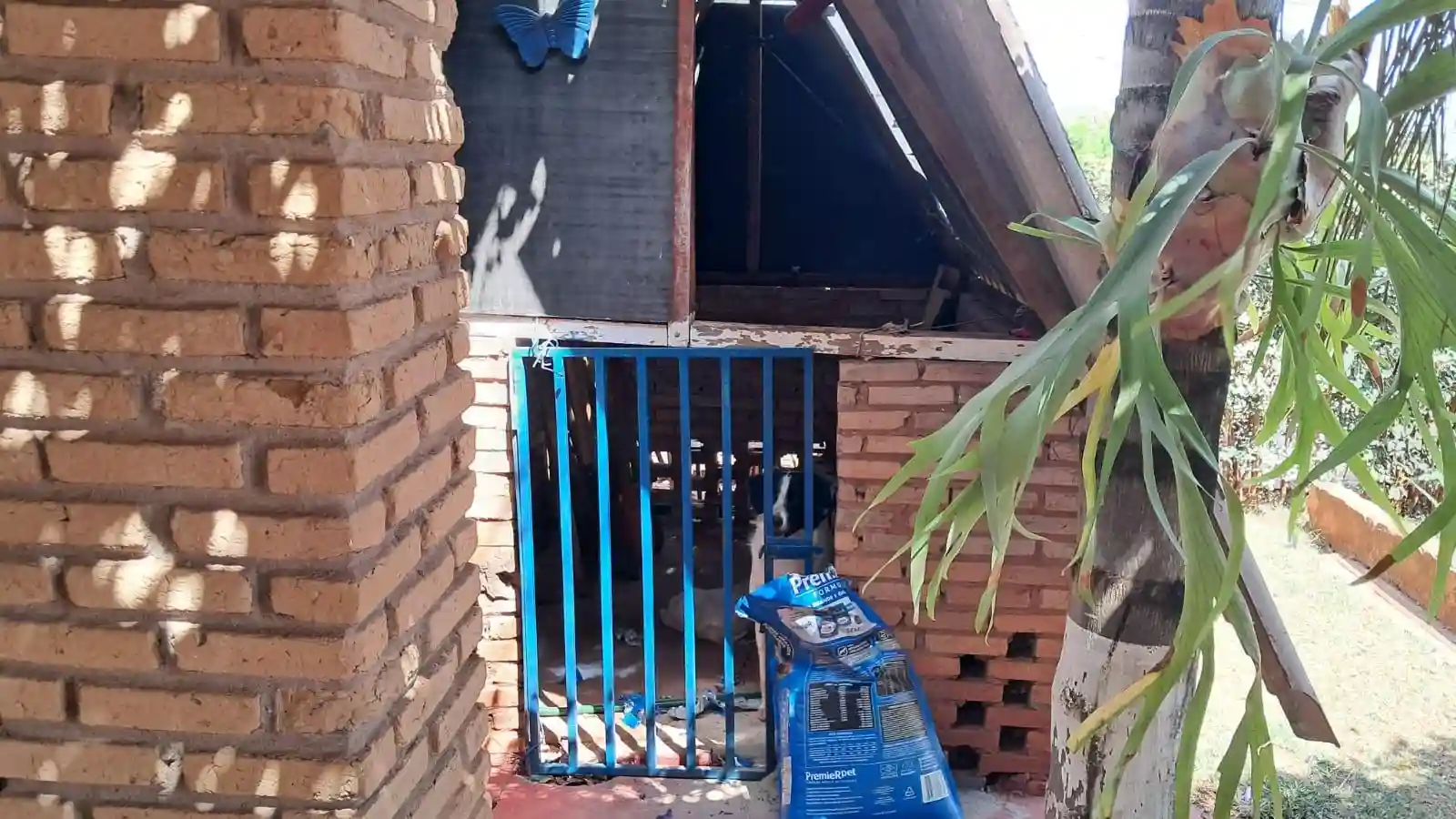 Fazenda / Sítio / Chácara com 2 quartos à venda, 1200m² — foto 18 de 47