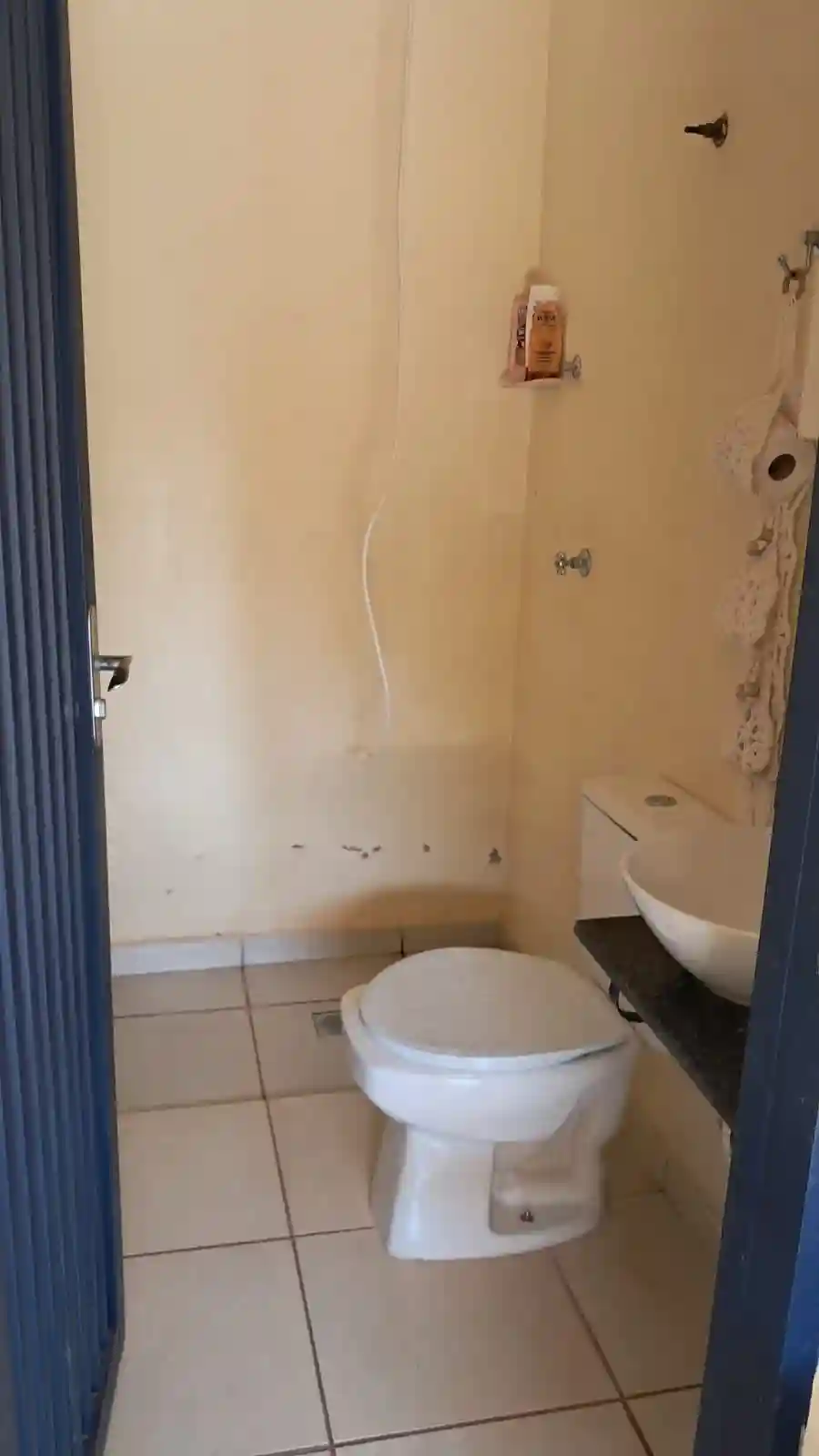 Fazenda / Sítio / Chácara com 2 quartos à venda, 1200m² — foto 46 de 47