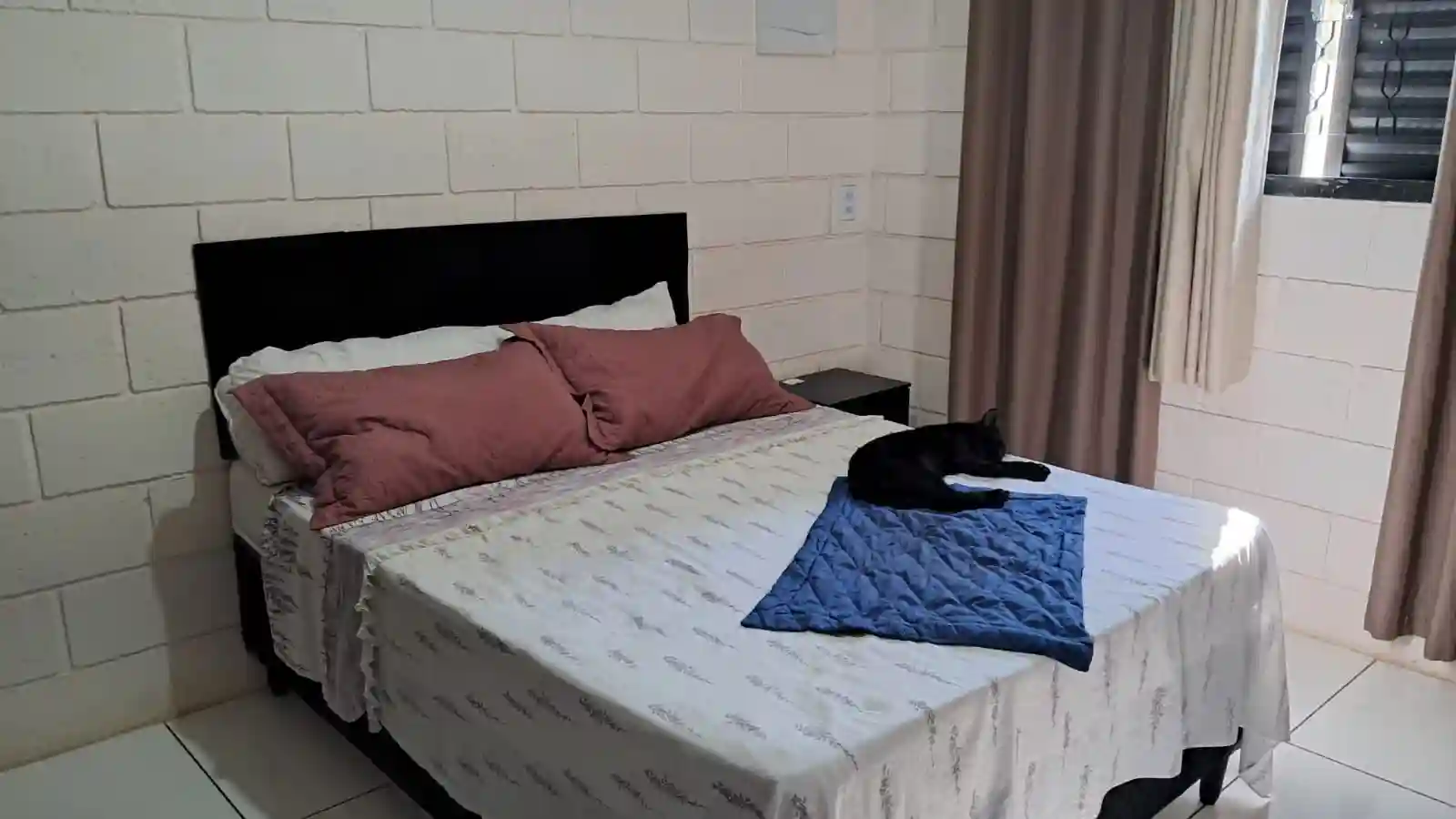 Fazenda / Sítio / Chácara com 2 quartos à venda, 1200m² — foto 36 de 47