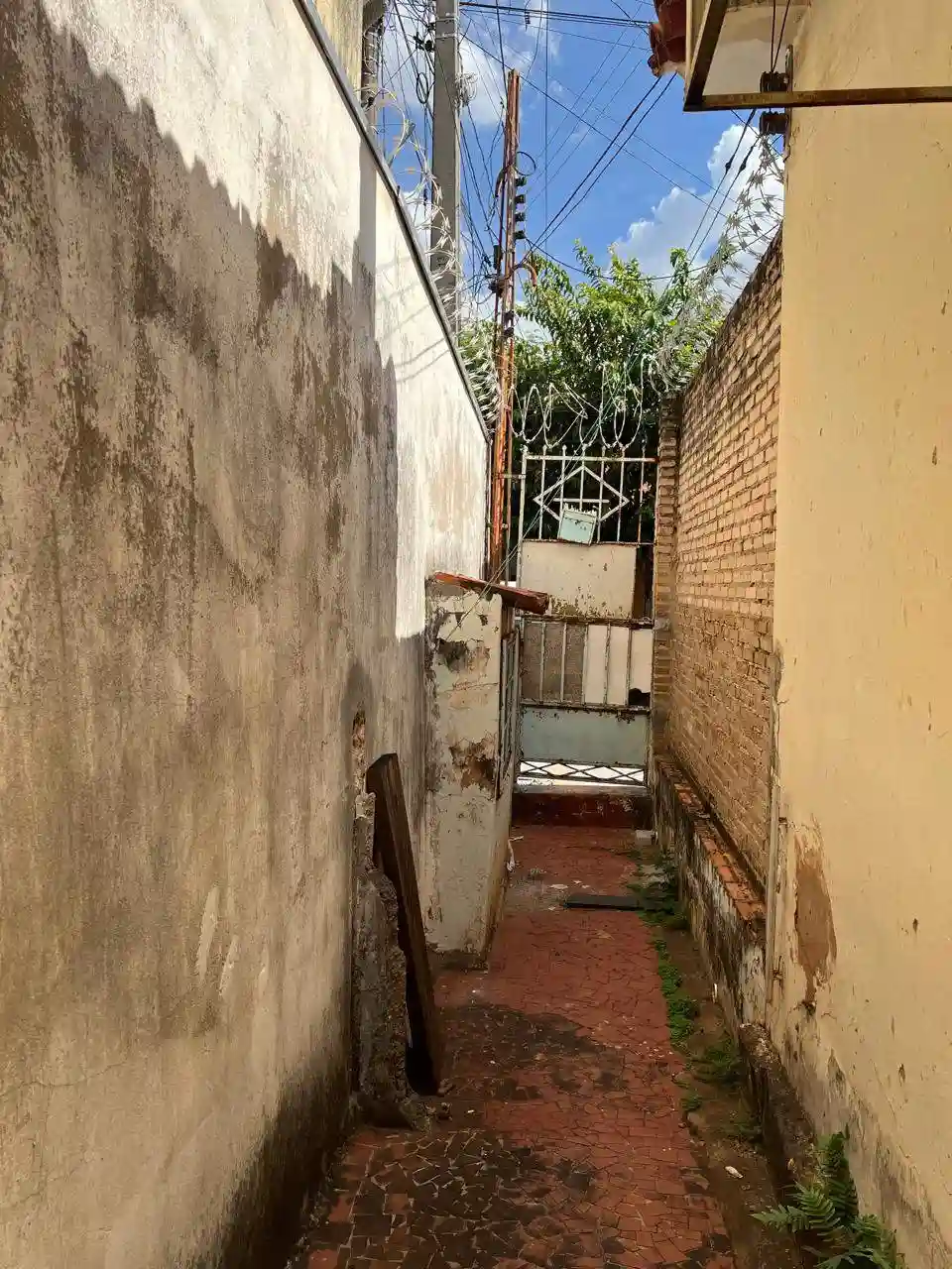 Casa  para aluguel, 25m² — foto 2 de 13