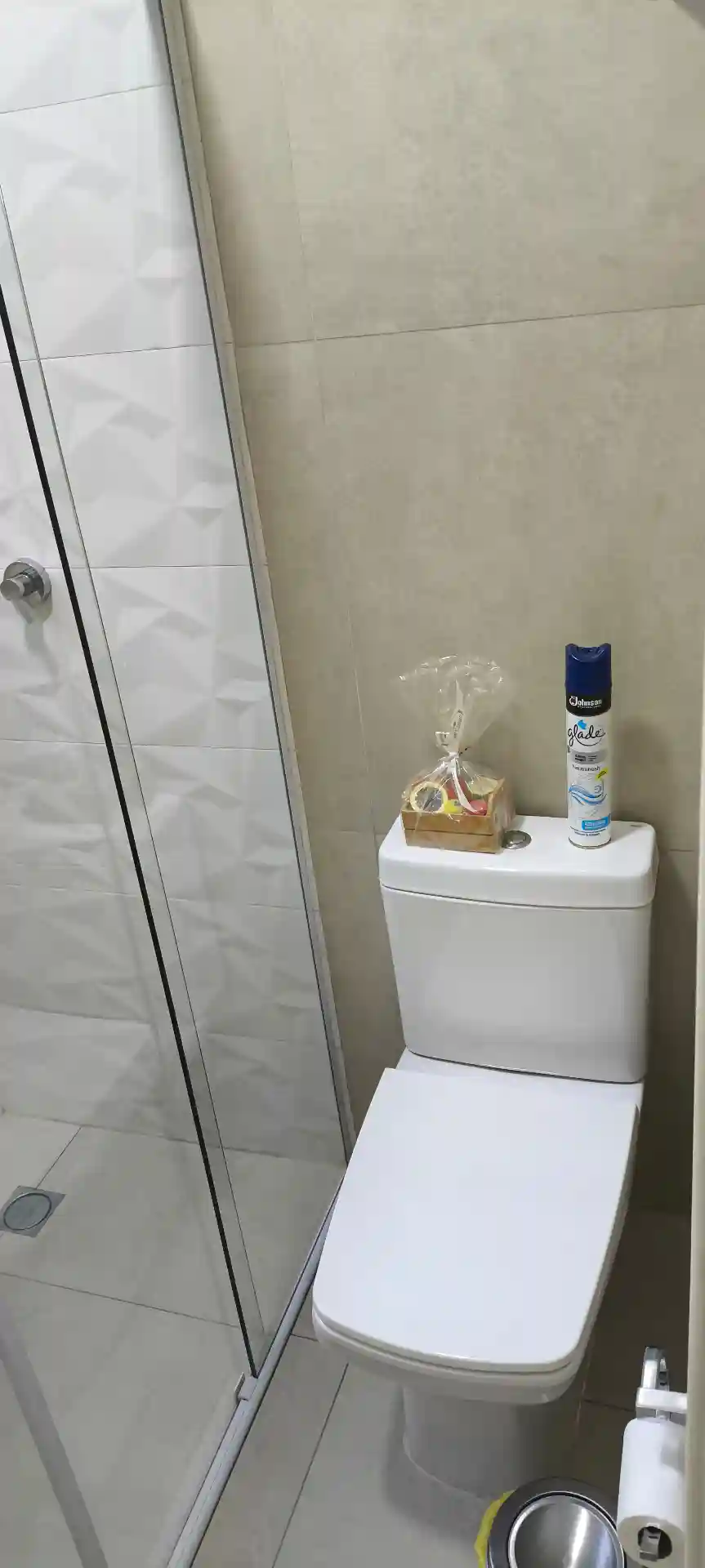 Casa de Condomínio com 2 quartos à venda, 100m² — foto 6 de 26