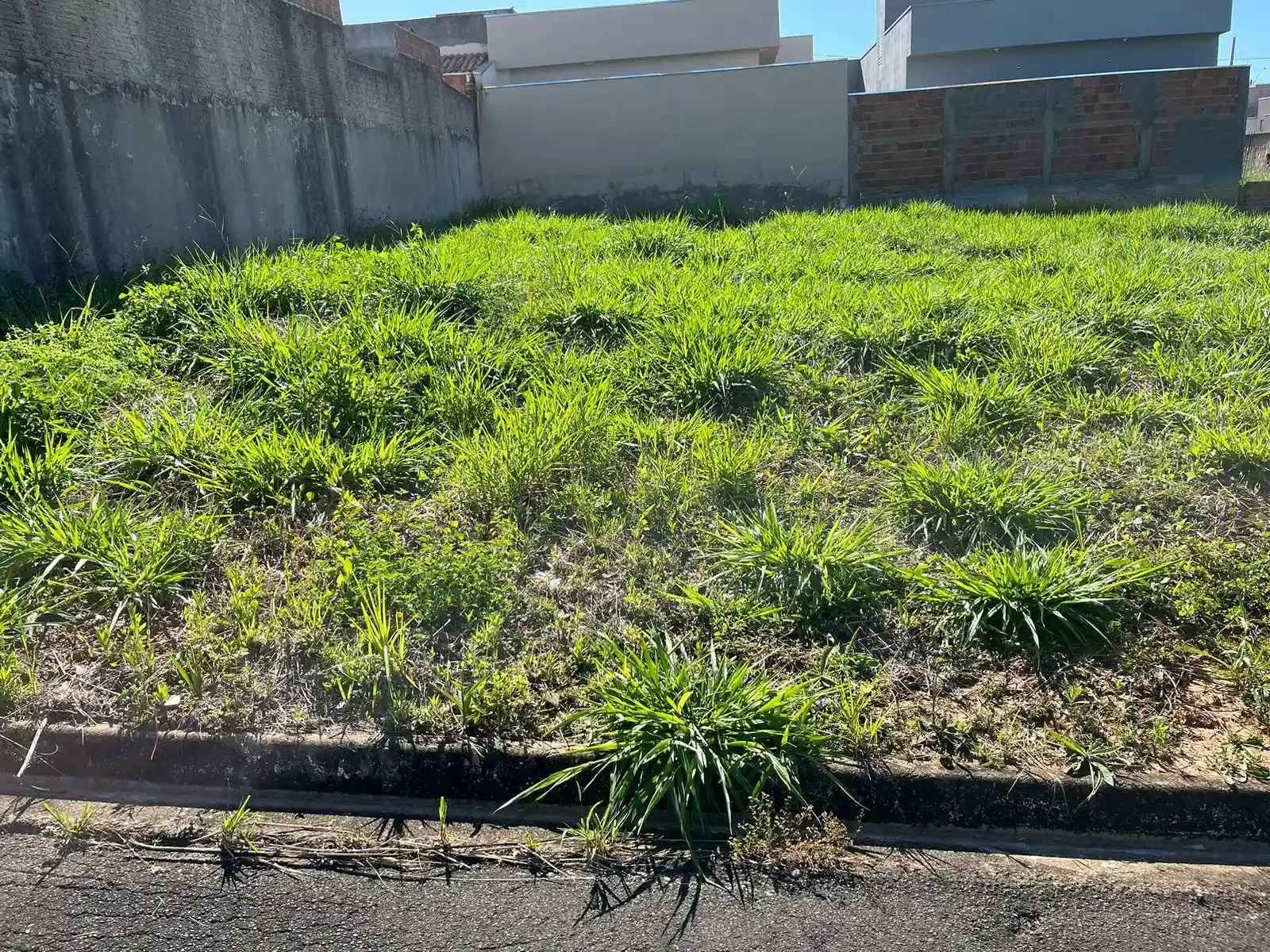 Terreno / Lote / Condomínio  à venda, 180m² — foto 1 de 1