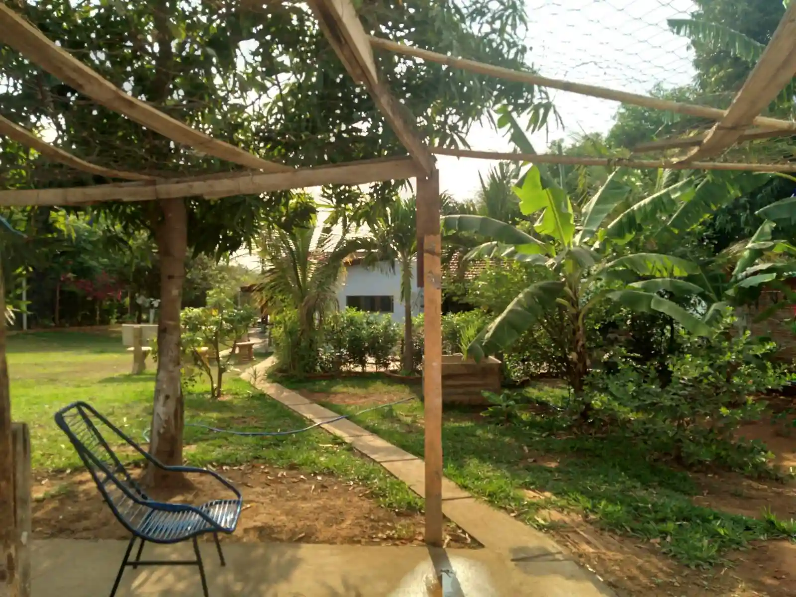 Fazenda / Sítio / Chácara  à venda, 1000m² — foto 10 de 12