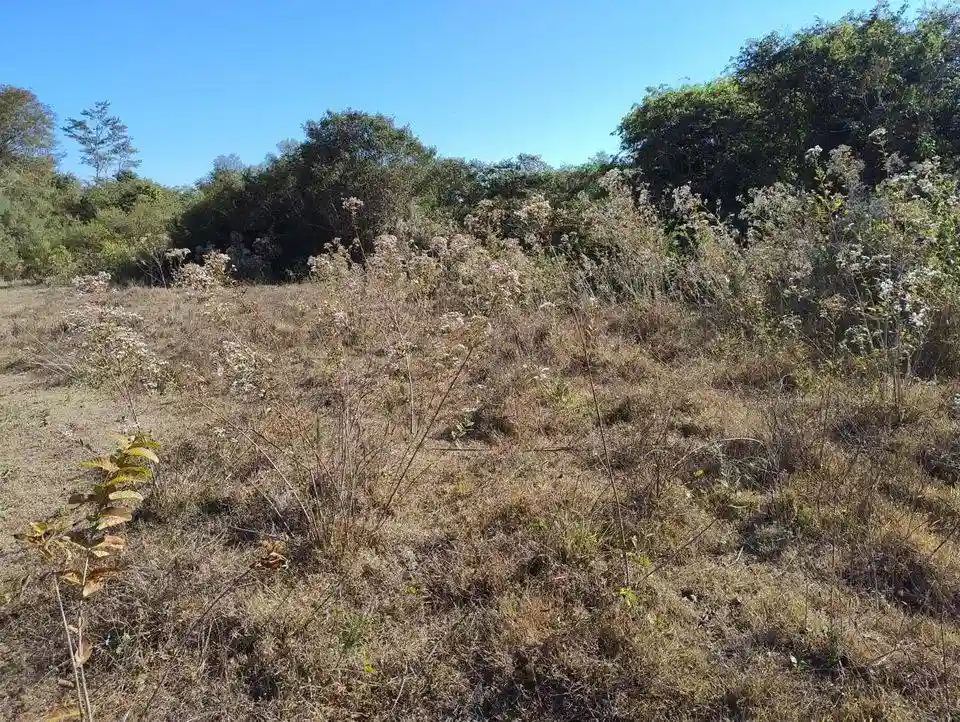 Fazenda / Sítio / Chácara  à venda, 15m² — foto 3 de 13