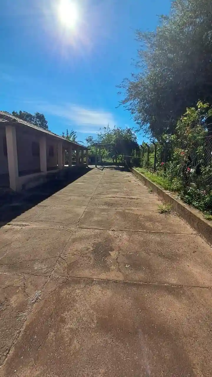 Fazenda / Sítio / Chácara com 3 quartos à venda, 2000m² — foto 14 de 17
