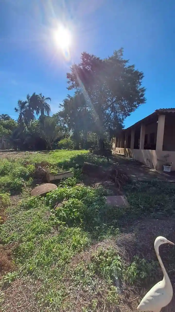 Fazenda / Sítio / Chácara com 3 quartos à venda, 2000m² — foto 15 de 17