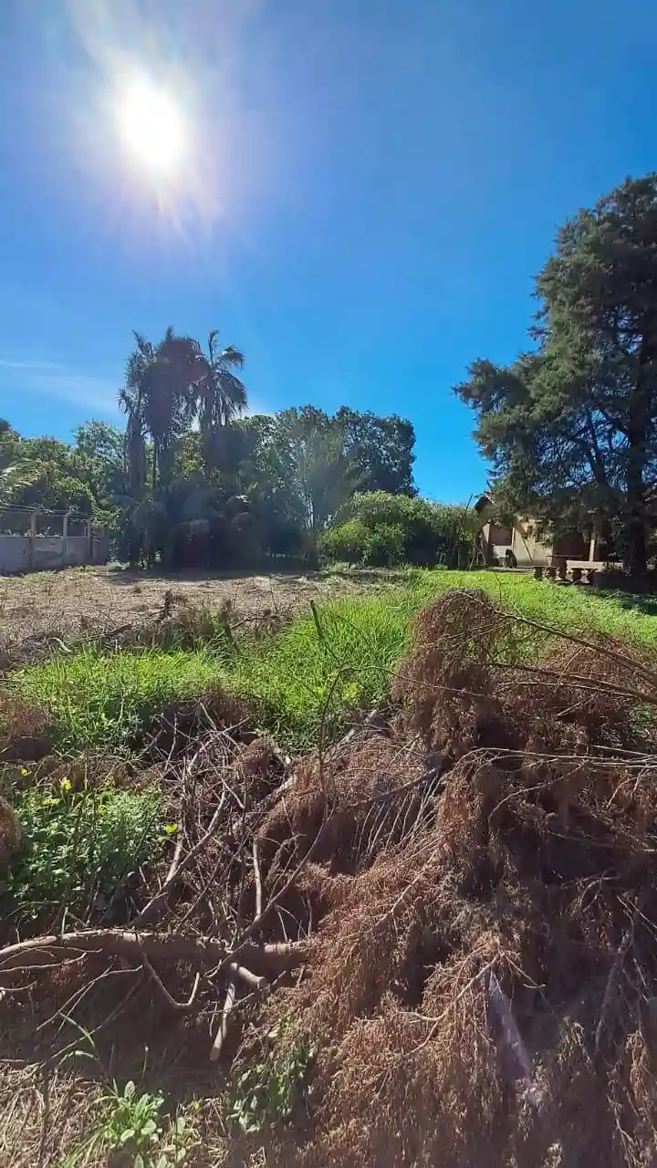 Fazenda / Sítio / Chácara com 3 quartos à venda, 2000m² — foto 16 de 17