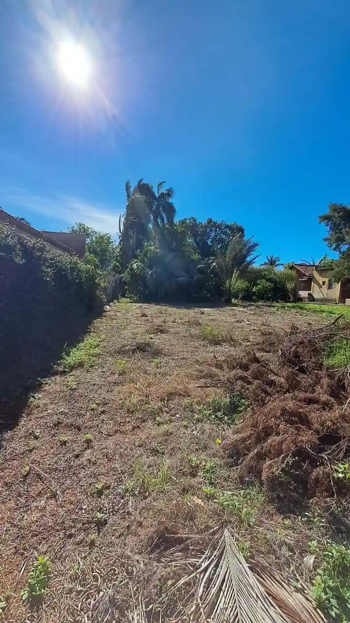 Fazenda / Sítio / Chácara com 3 quartos à venda, 2000m² — foto 17 de 17