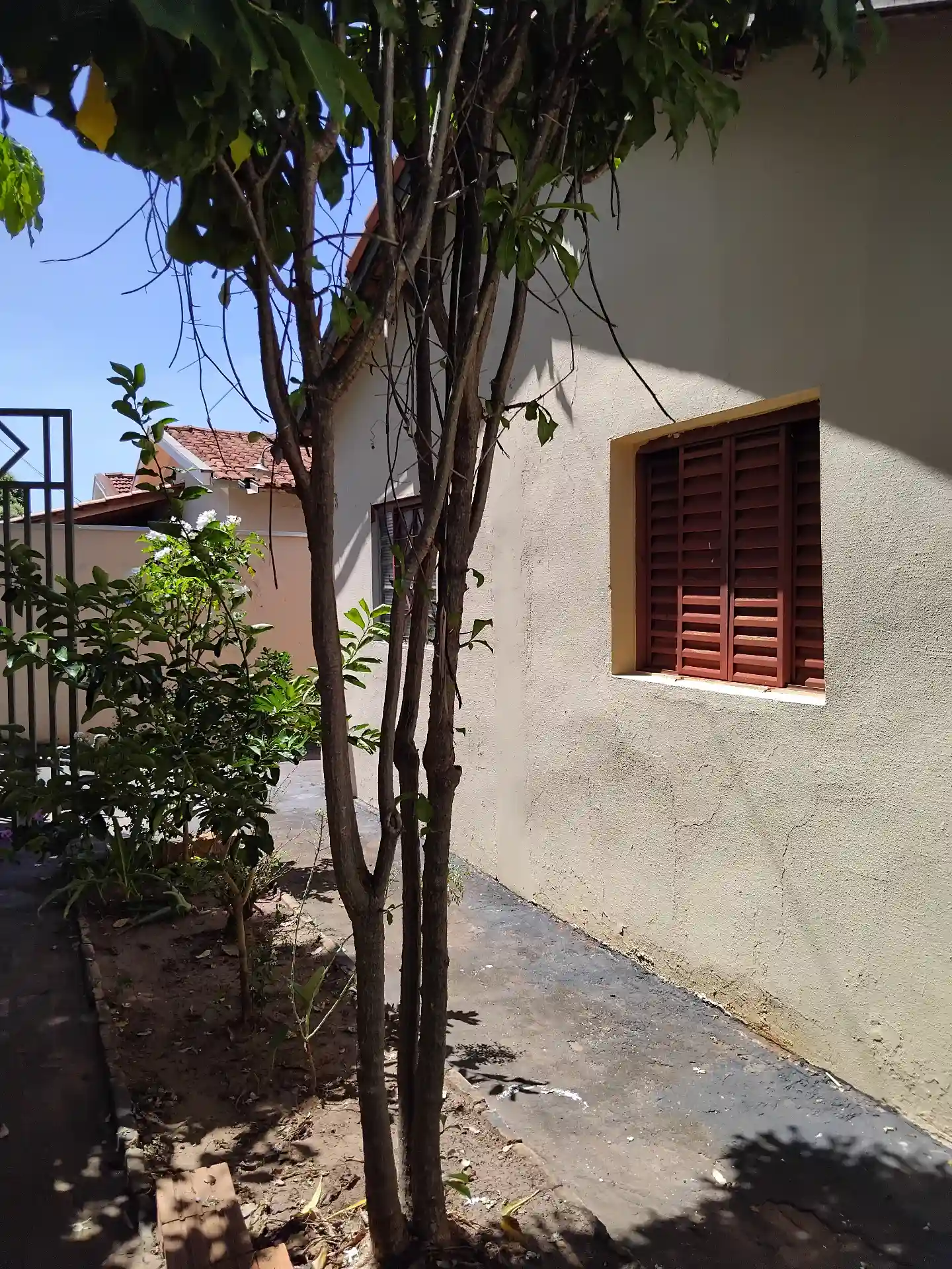 Casa com 4 quartos à venda, 242m² — foto 19 de 25