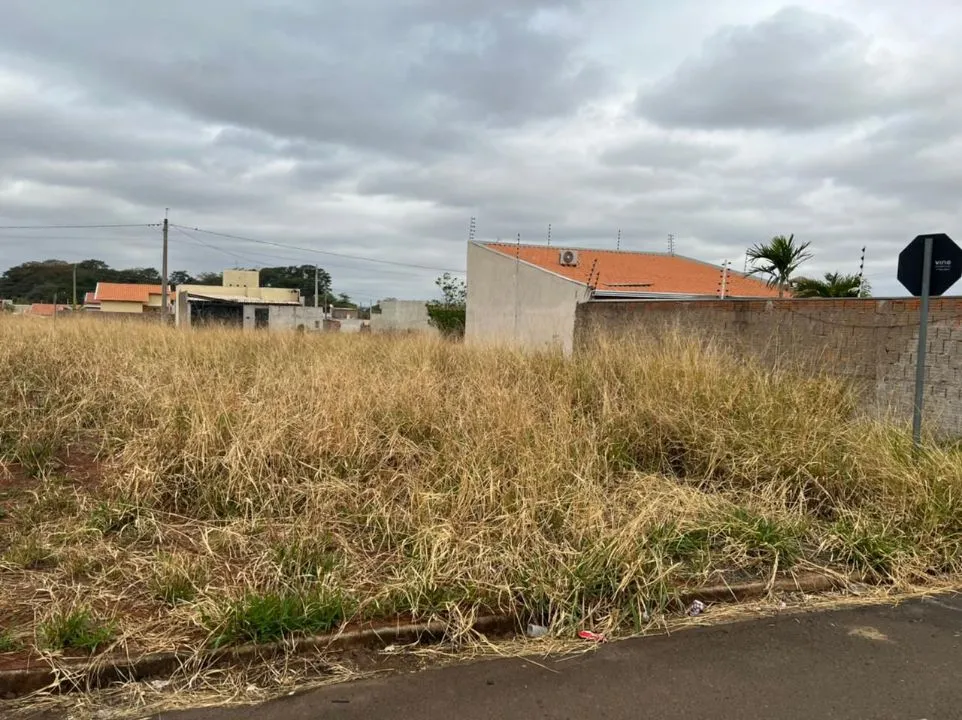 Terreno / Lote / Condomínio à venda — foto 3 de 3