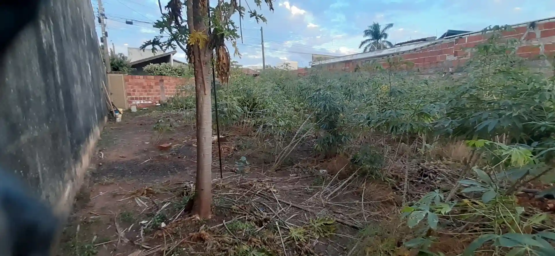 Terreno / Lote / Condomínio  à venda, 200m² — foto 6 de 6