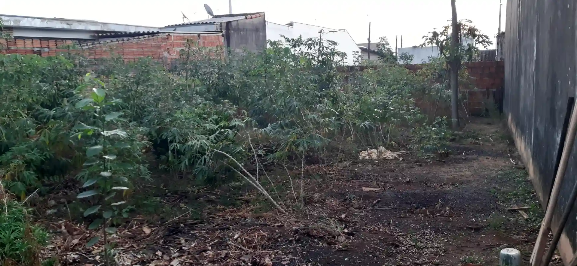Terreno / Lote / Condomínio  à venda, 200m² — foto 3 de 6