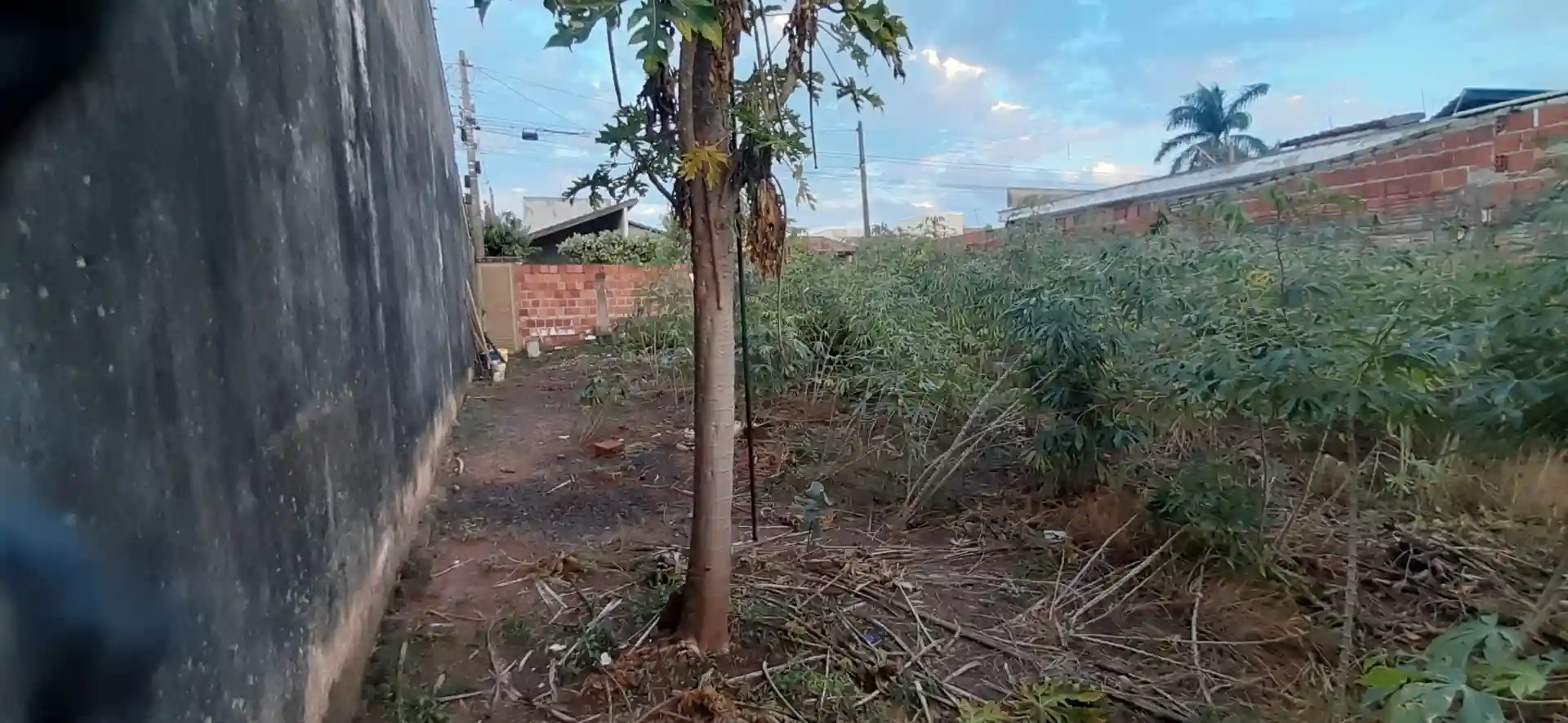 Terreno / Lote / Condomínio  à venda, 200m² — foto 5 de 6