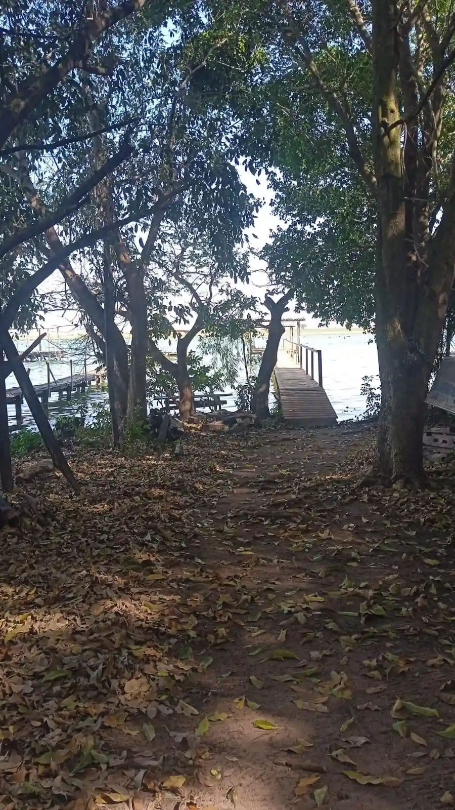 Fazenda / Sítio / Chácara com 2 quartos à venda, 100m² — foto 2 de 5