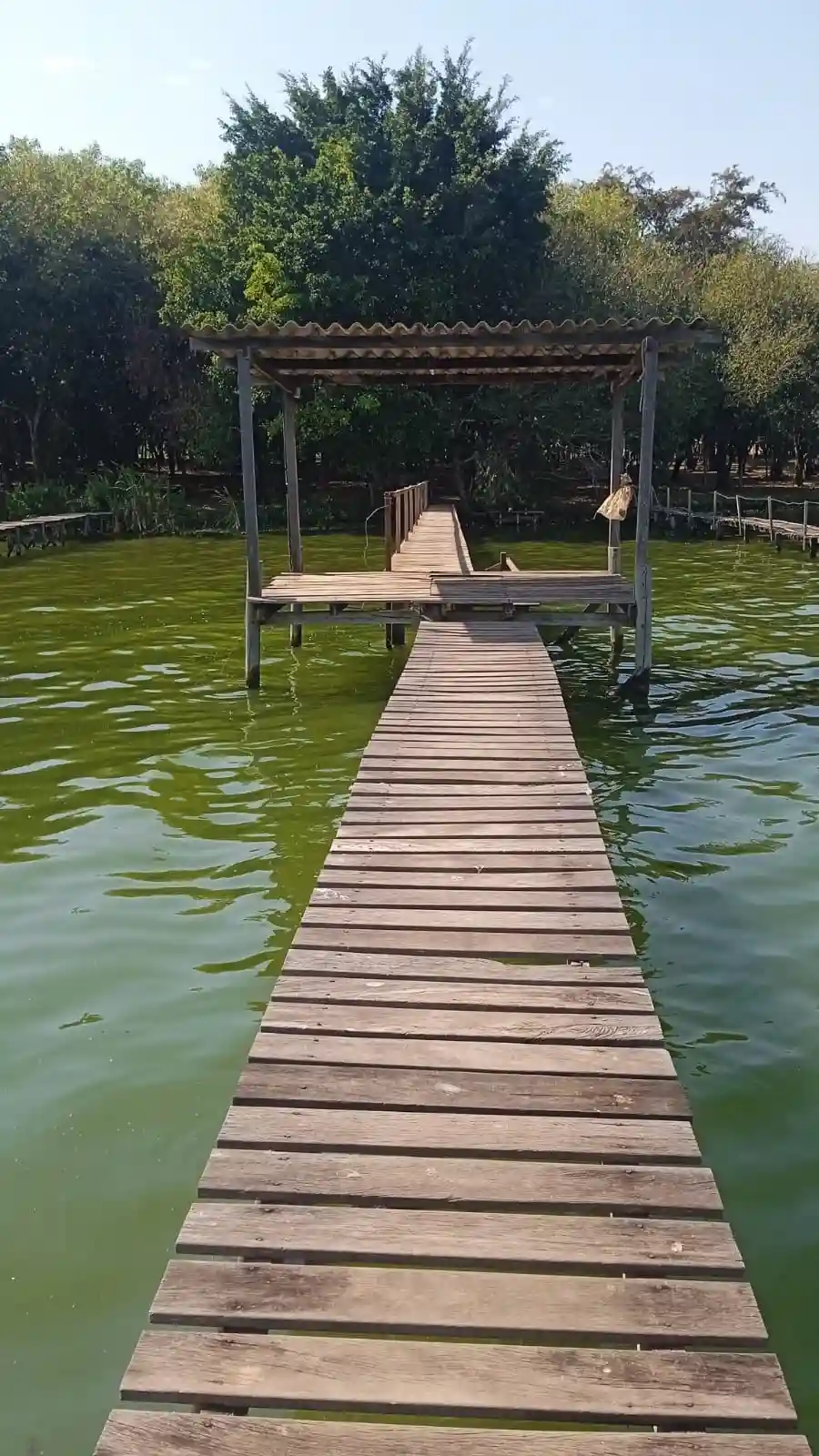 Fazenda / Sítio / Chácara com 2 quartos à venda, 100m² — foto 3 de 5
