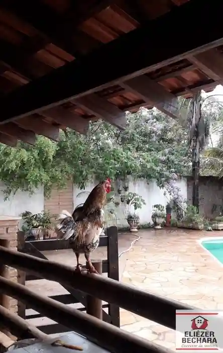Fazenda / Sítio / Chácara com 2 quartos à venda, 3000m² — foto 17 de 21