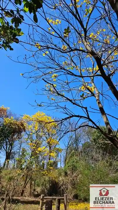 Fazenda / Sítio / Chácara com 2 quartos à venda, 3000m² — foto 3 de 21