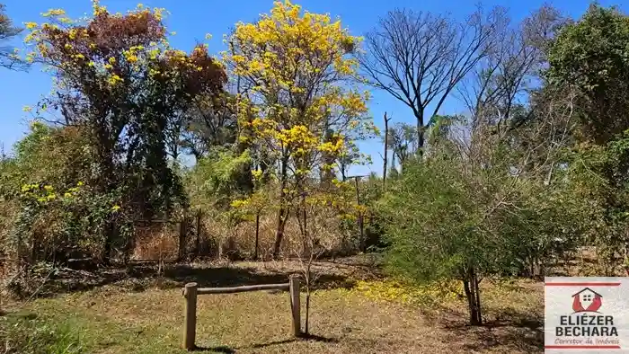 Fazenda / Sítio / Chácara com 2 quartos à venda, 3000m² — foto 11 de 21