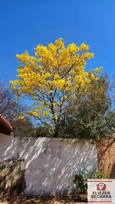 Fazenda / Sítio / Chácara com 2 quartos à venda, 3000m² — foto 8 de 21
