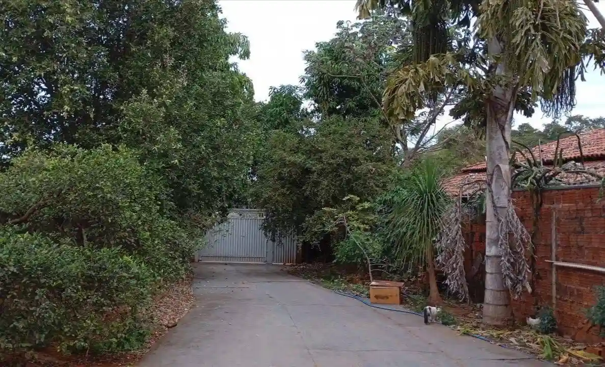 Fazenda / Sítio / Chácara com 2 quartos à venda, 400m² — foto 10 de 11