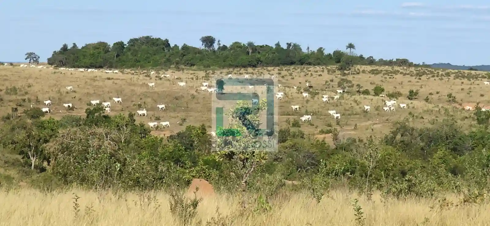 Fazenda / Sítio / Chácara  à venda, 15270000m² — foto 11 de 16