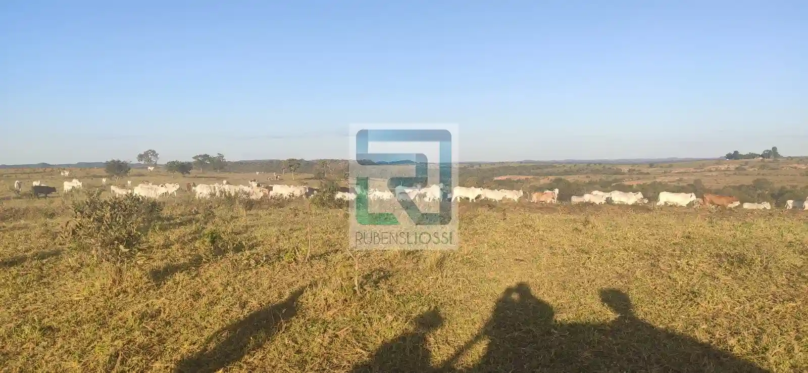 Fazenda / Sítio / Chácara  à venda, 15270000m² — foto 6 de 16