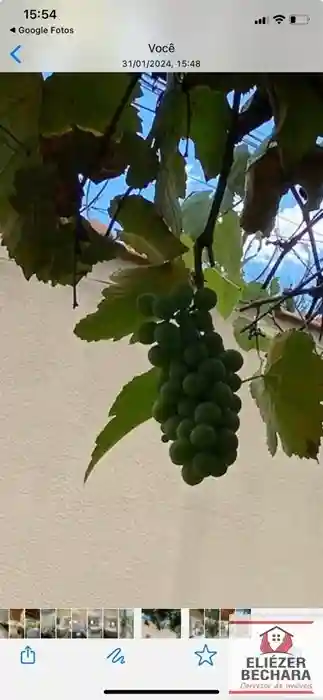 Fazenda / Sítio / Chácara com 3 quartos à venda, 1000m² — foto 9 de 33