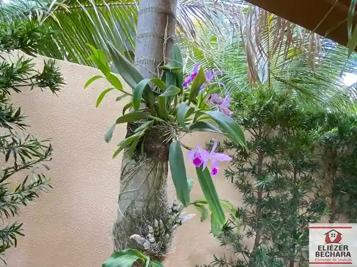 Fazenda / Sítio / Chácara com 3 quartos à venda, 1000m² — foto 4 de 33